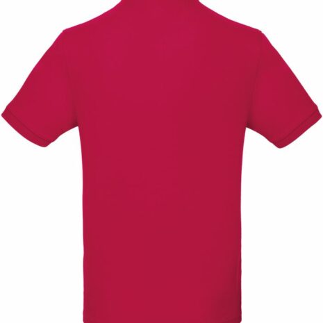 PS_CGPM430-B_SORBET