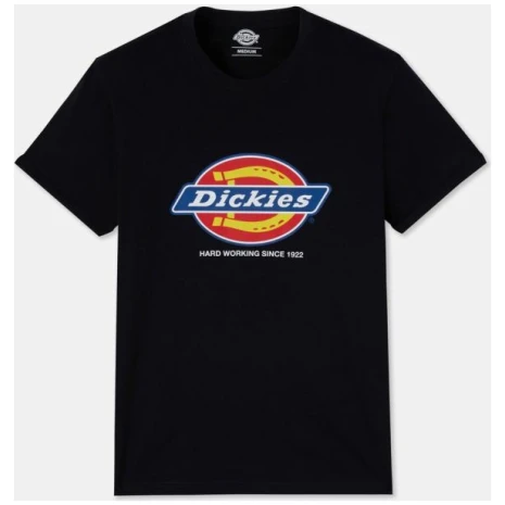 Heren-t-shirt DENISON (DT6010)