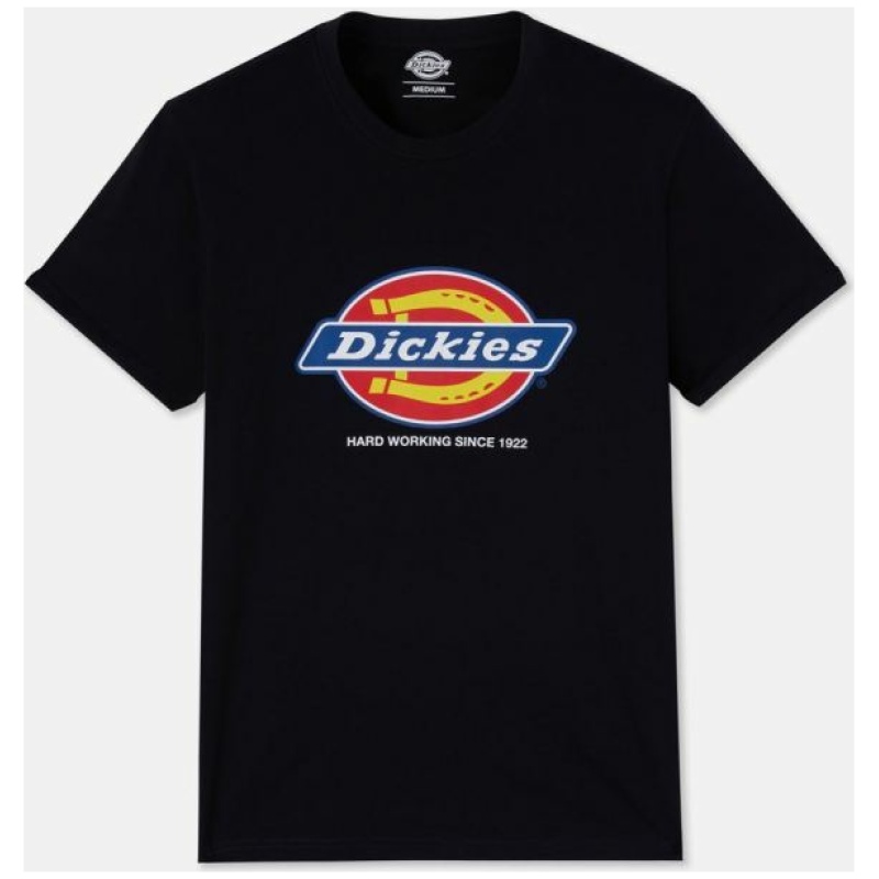 Heren-t-shirt DENISON (DT6010)