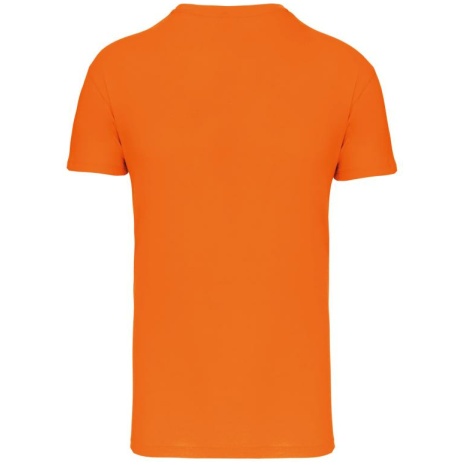 Heren-t-shirt BIO150IC V-hals