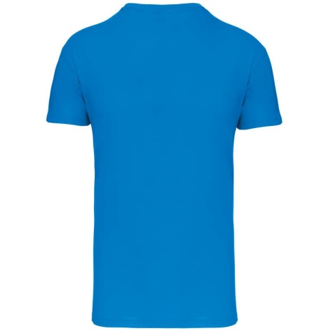 Heren-t-shirt BIO150IC V-hals