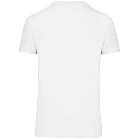 Heren-t-shirt BIO150IC V-hals