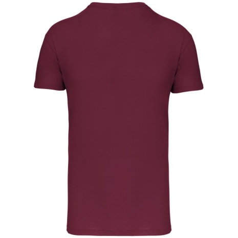 Heren-t-shirt BIO150IC V-hals