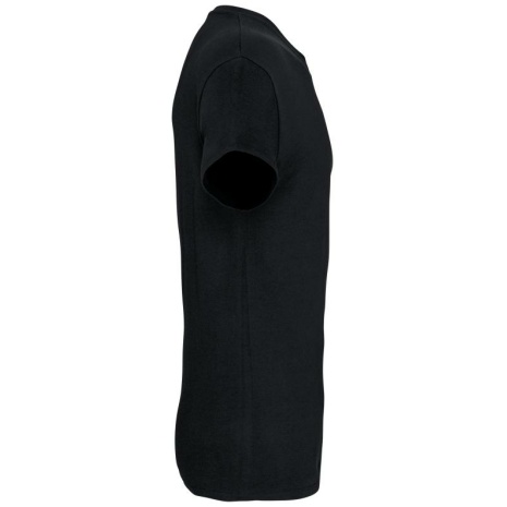 Heren-t-shirt BIO150IC V-hals