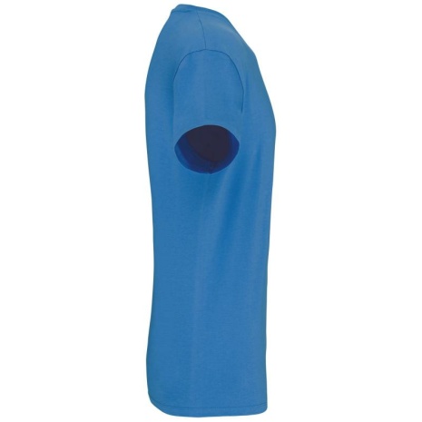 Heren-t-shirt BIO150IC V-hals