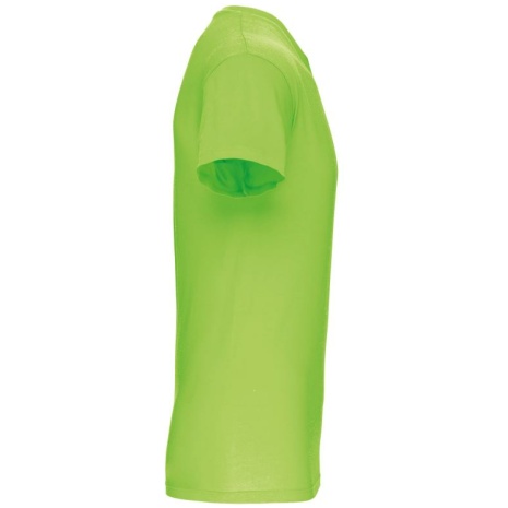 Heren-t-shirt BIO150IC V-hals