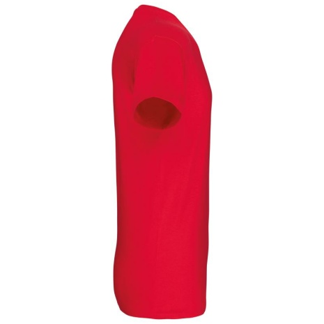 Heren-t-shirt BIO150IC V-hals