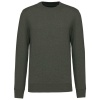 Ecologische sweater met ronde hals