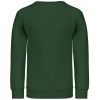 PS_K475-B_FORESTGREEN