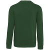 PS_K488-B_FORESTGREEN