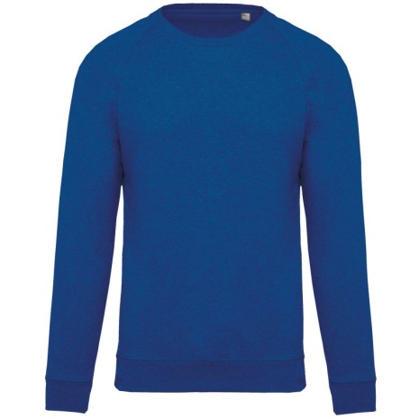 Sweater bio raglanmouwen kids