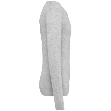 Ecologische herentrui met V-hals