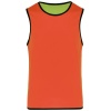 PS_PA044-2_LIME-SPICYORANGE