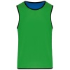 PS_PA046-2_SPORTYROYALBLUE-GREEN