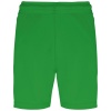PS_PA103-B_GREEN