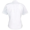 PS_PR312-B_WHITE