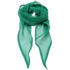 Ladies Chiffon Scarf