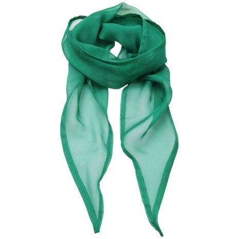 Ladies Chiffon Scarf