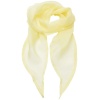 Ladies Chiffon Scarf