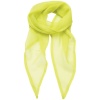 Ladies Chiffon Scarf