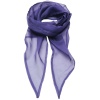 Ladies Chiffon Scarf