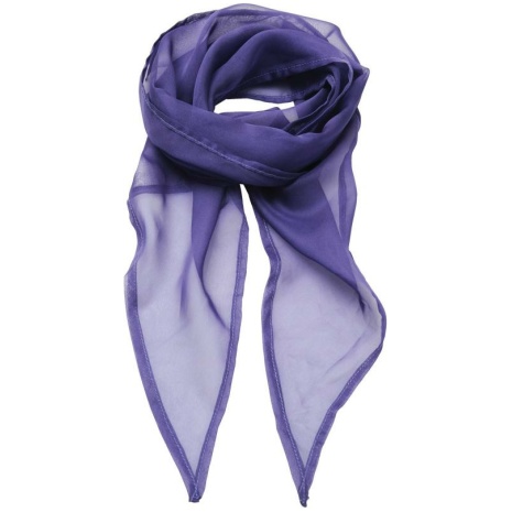 Ladies Chiffon Scarf