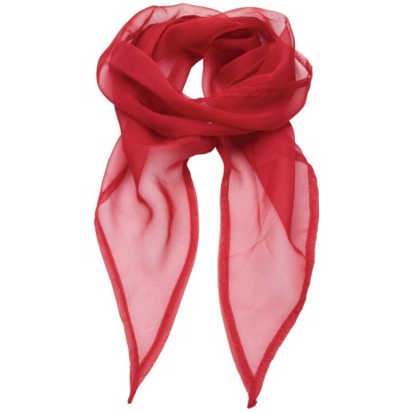 Ladies Chiffon Scarf