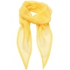 Ladies Chiffon Scarf