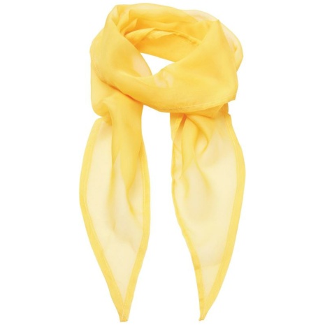 Ladies Chiffon Scarf