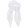 Ladies Chiffon Scarf