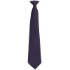 Colours Fashion Clip Tie