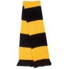 Team Scarf