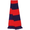 Team Scarf