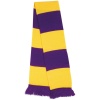 Team Scarf