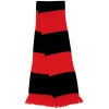 Team Scarf