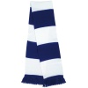 Team Scarf