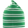 Team Reversible Beanie