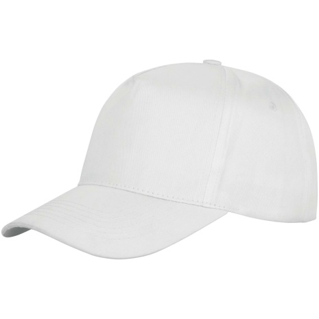 Houston Printers Cap