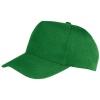 Boston junior cap