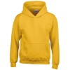 Heavy Blend™ Classic Fit Youth Hooded Sweatshirt