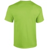 PS_GI5000-B_LIME