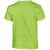 PS_GI5000B-B_LIME