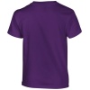 PS_GI5000B-B_PURPLE