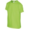 PS_GI5000B-FS_LIME