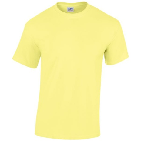 Heavy Cotton™Classic Fit Adult T-shirt