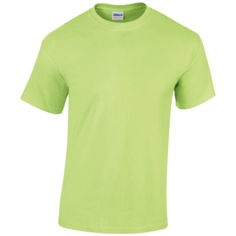 Heavy Cotton™Classic Fit Adult T-shirt