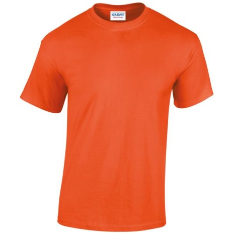 Heavy Cotton™Classic Fit Adult T-shirt