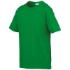 PS_GI6400B-FS_IRISHGREEN