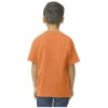 PS_GI65000B-B_ORANGE