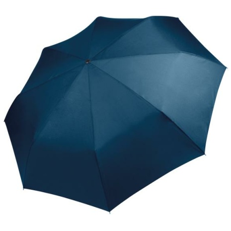 Opvouwbare mini-paraplu